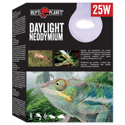 Ampoule RP Daylight au néodyme 25W