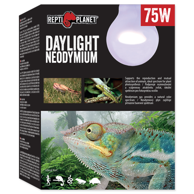 Ampoule RP Neodymium 75W lumière du jour