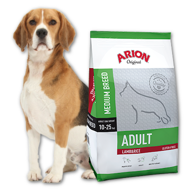 Arion Original Adult Medium Breed Agneau et Riz 3kg