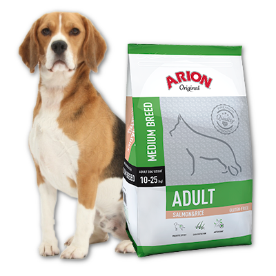 Arion Original Adult Medium Breed Saumon & Riz 12kg x2