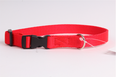 DogStuffs Collier avec boucle en plastique 15mm/24-40cm rouge