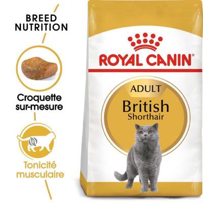 ROYAL CANIN British Shorthair Adult 2kg + GIMBORN Gim Cat Multi-vitamine Duo Pâte avec fromage 50g GRATUIT
