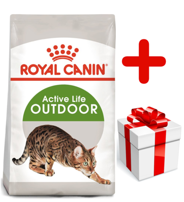 Royal Canin Outdoor 10kg + surprise pour votre chat GRATUITES !