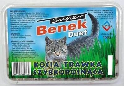 SUPER BENEK Herbe à croissance rapide "DUET" pour chats 150g dans une boîte en plastique
